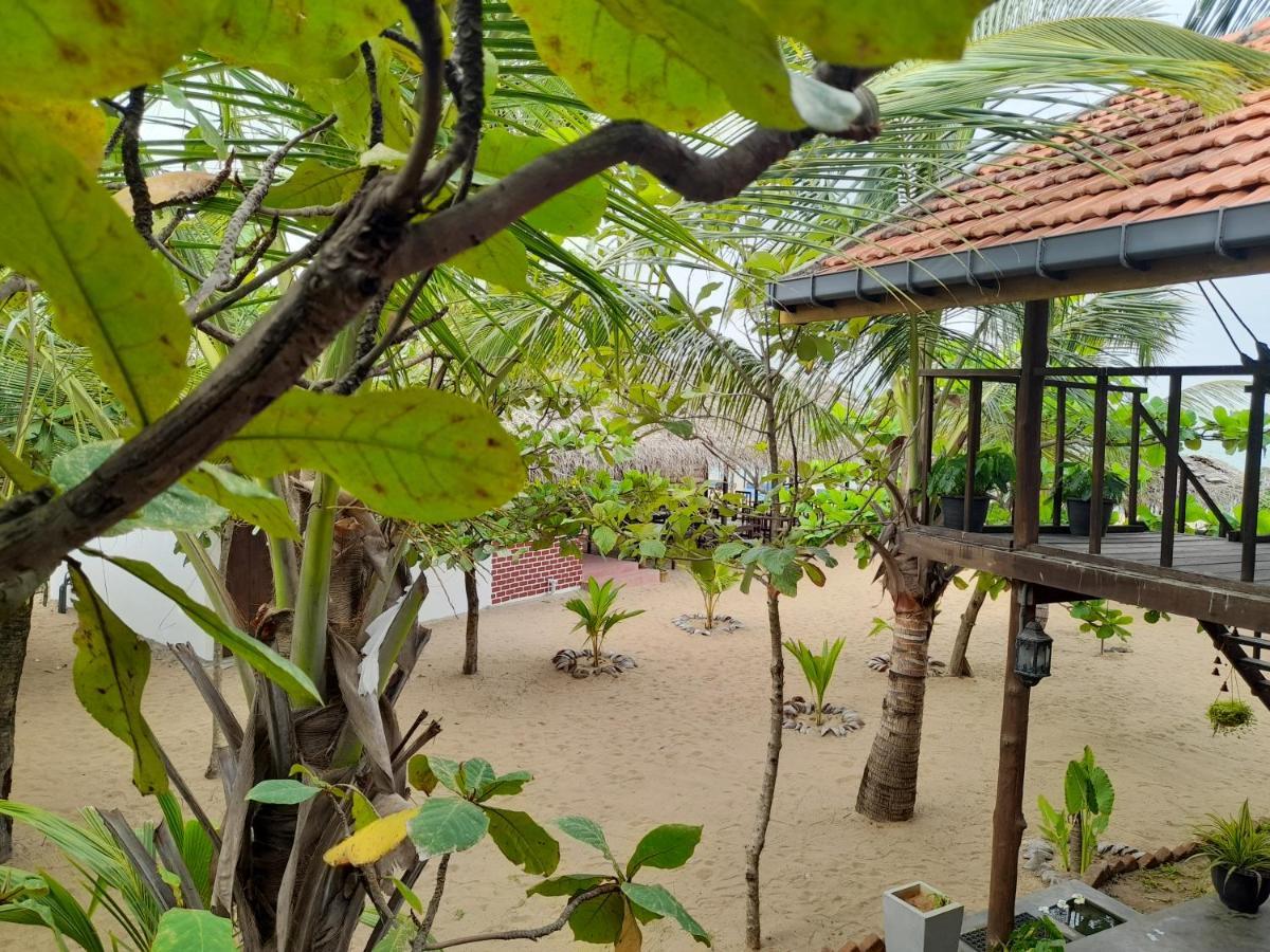 Golden Beach Chalets Arugam Bay Kültér fotó