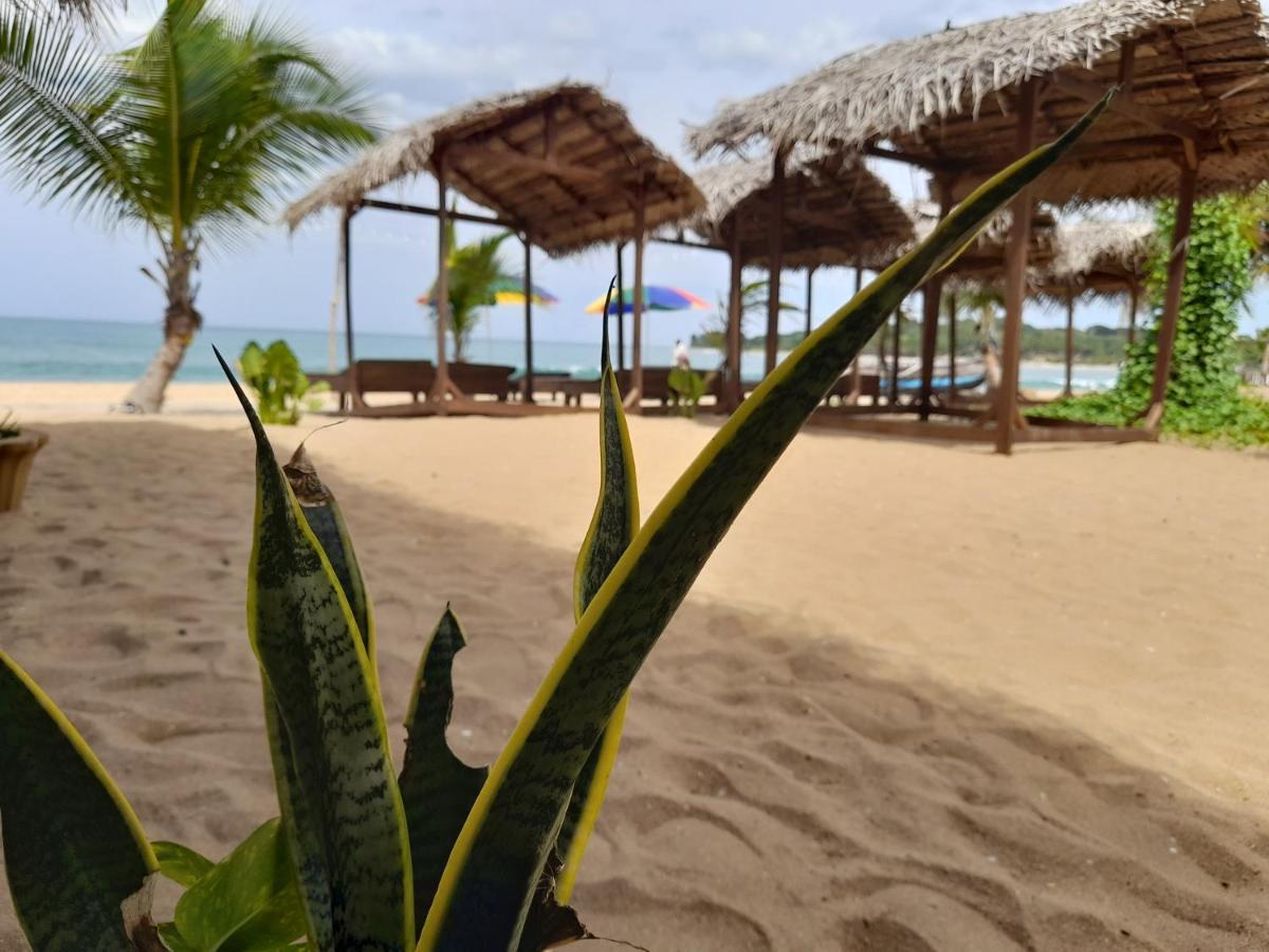 Golden Beach Chalets Arugam Bay Kültér fotó