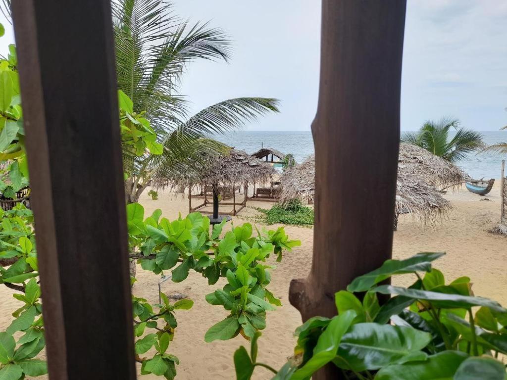 Golden Beach Chalets Arugam Bay Kültér fotó
